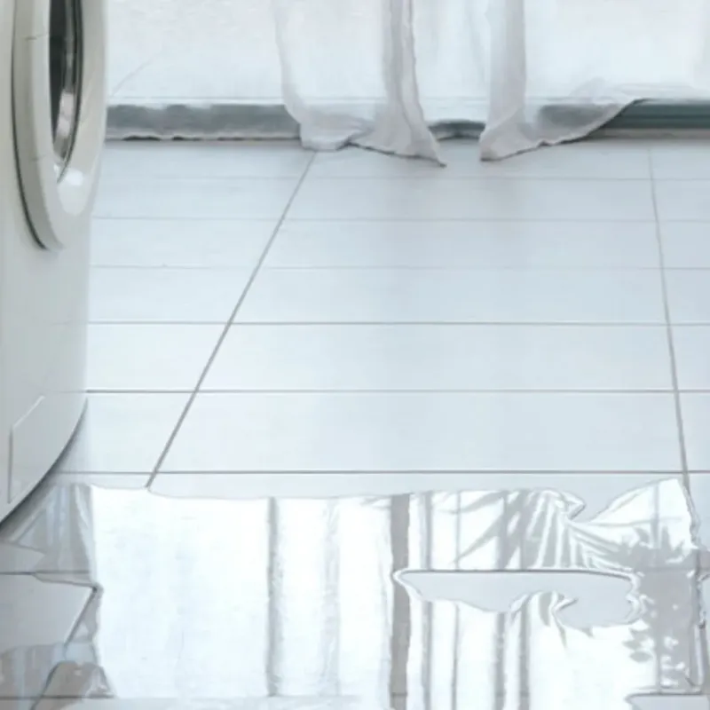 Appliance Leak Cleanup in Jackson, LA