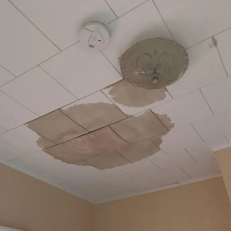 Ceiling Water Damage Repair in Jackson, LA