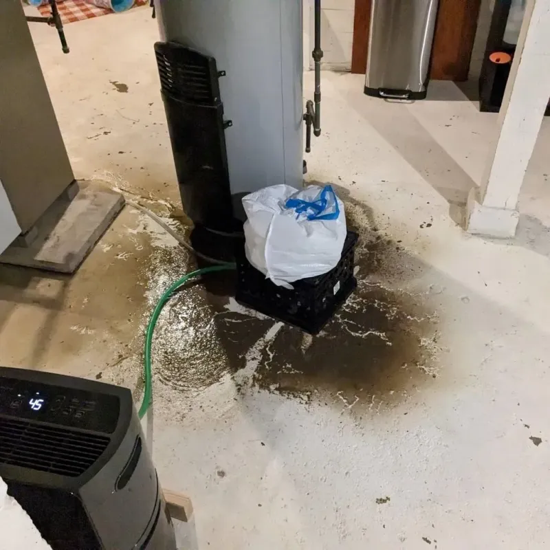 Sewage Backup Cleanup Service in Jackson, LA